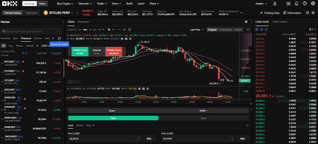 OKX margin trading view