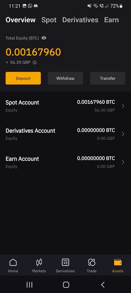 Bybit mobile app assets screen